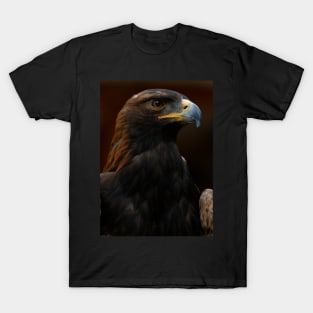 Golden Eagle T-Shirt